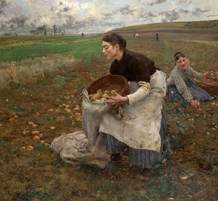 two women picking potatoes in a field with cloudy sky behind them, one holding a basket and the other kneeling down