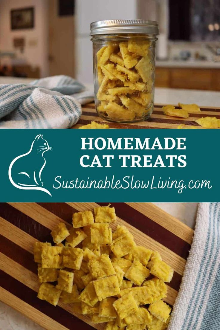 homemade cat treats in a jar and on a cutting board with text overlay that reads homemade cat treats