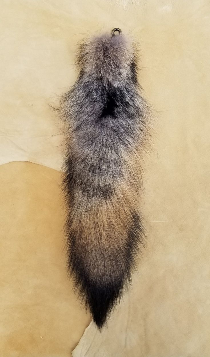 an animal tail hanging on the wall