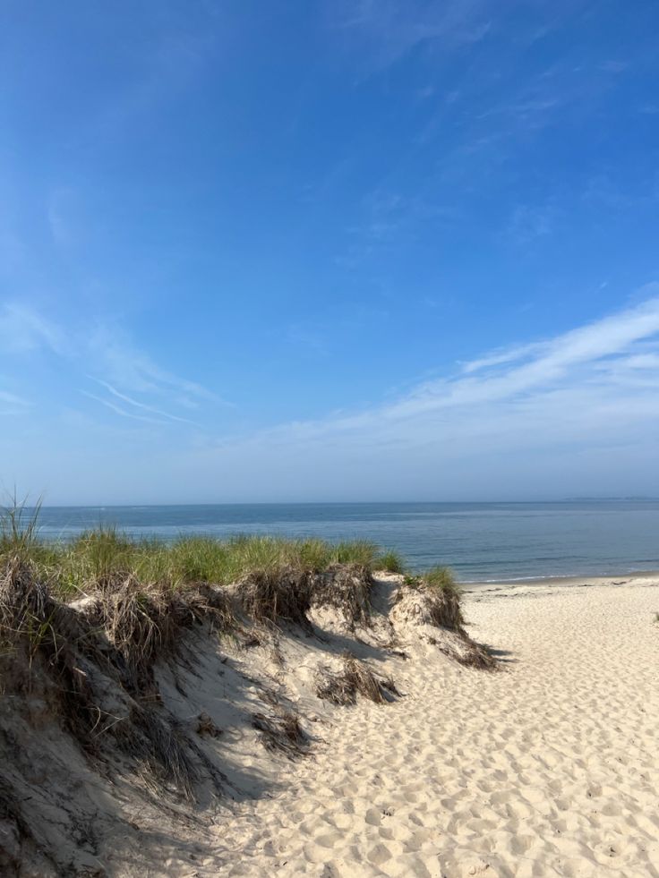 a sandy beach with grass growing out of the sand and water in the distance on a sunny day