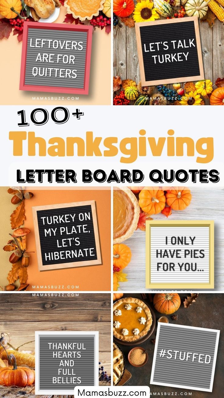 thanksgiving letter board Reading Letter Board Quotes, Thanksgiving Funny Letter Board, Letterboard Thanksgiving Quotes, Funny Thanksgiving Quotes For Letterboard, Thanksgiving Slogans Funny, Thanksgiving Food Quotes, Thanksgiving Letter Board Quotes Funny, Thanksgiving Quotes For Letterboard, Funny Thanksgiving Chalkboard Art