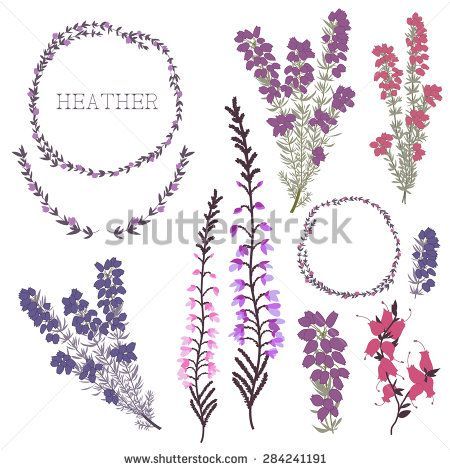 different types of flowers and leaves with the word'leather'in the center, surrounded by