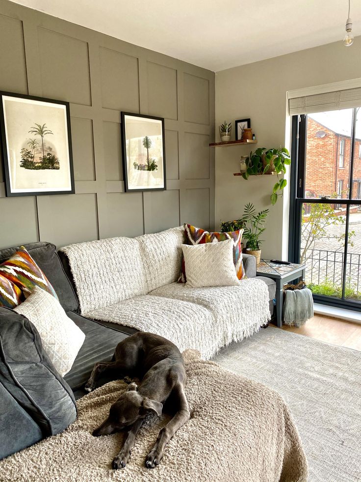 a dog laying on top of a couch in a living room next to a window