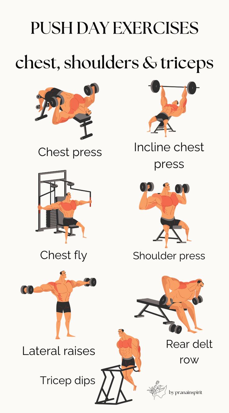 an exercise poster with the words push day exercises chest, shoulders and triceps