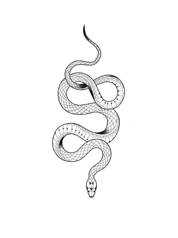 a black and white drawing of a snake