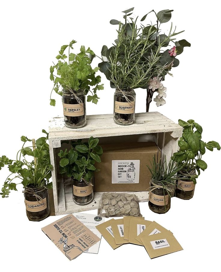 an assortment of potted plants and seed packets