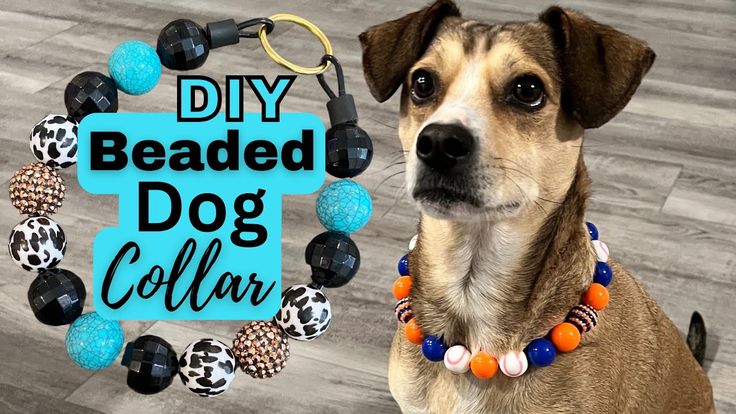 a dog is sitting next to a beaded dog collar with the words diy beaded dog collar on it