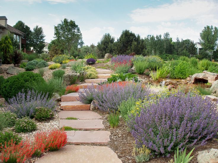 a garden with lots of flowers and rocks