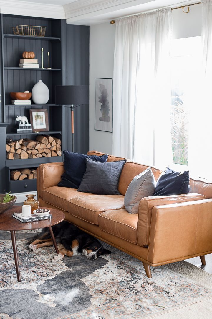 a dog laying on the floor in front of a couch and coffee table with bookshelves behind it