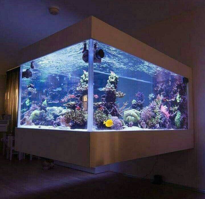 an aquarium is shown in the middle of a room