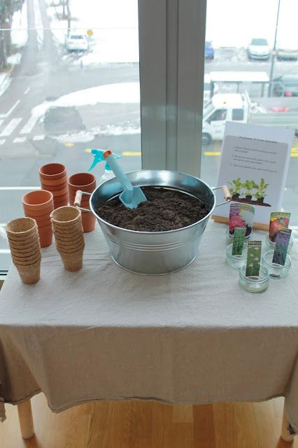 a table that has some cups on it and a potted plant in the middle