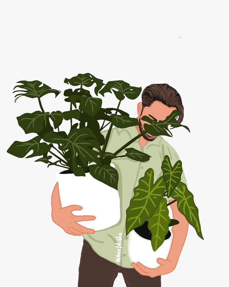 Men with plants illustartion Draw Plants, Plant Cartoon, Illustration Picture, Person Drawing, Space Artwork, Plant Images, Big Plants, Plant Aesthetic, Picture Illustration