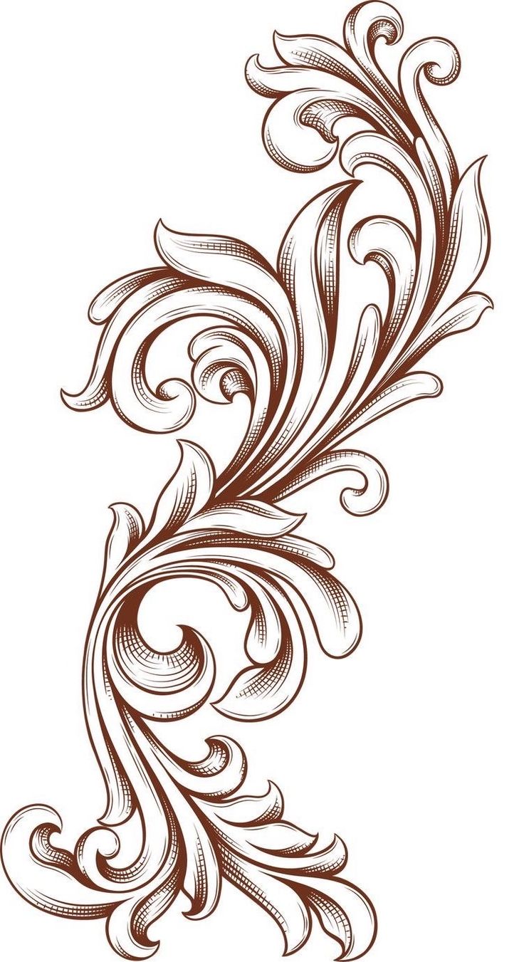 an ornate design with swirls and leaves in brown ink on white paper stock photo - budget