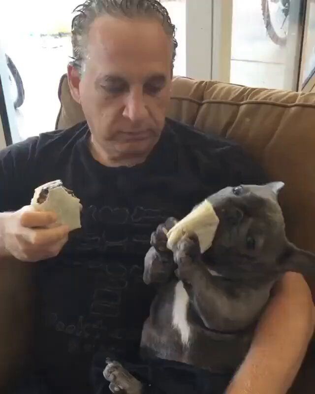 a man sitting on a couch holding a cat and eating something out of his hand