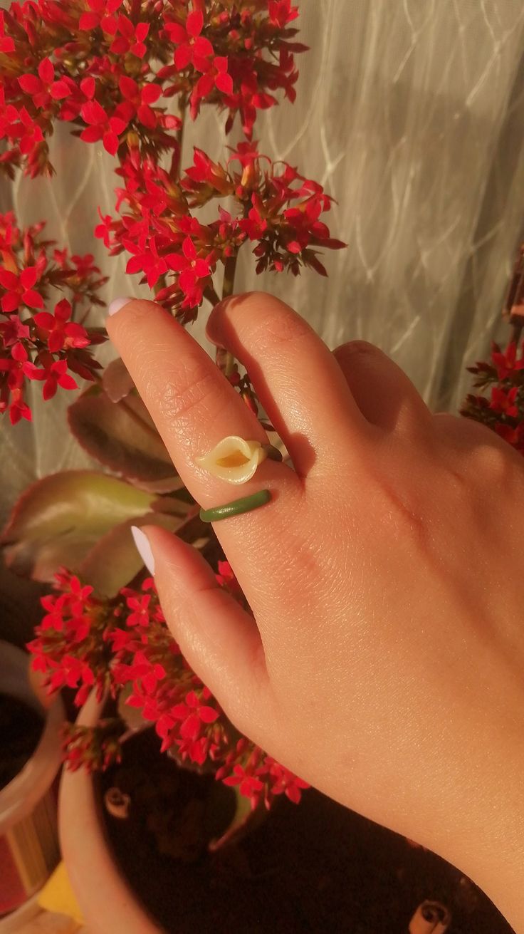 a woman's hand holding a flower in front of a potted plant with red flowers