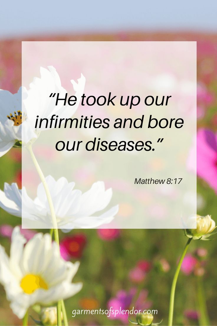 flowers with a quote from the bible, he took up our infirmities and bore our diseases