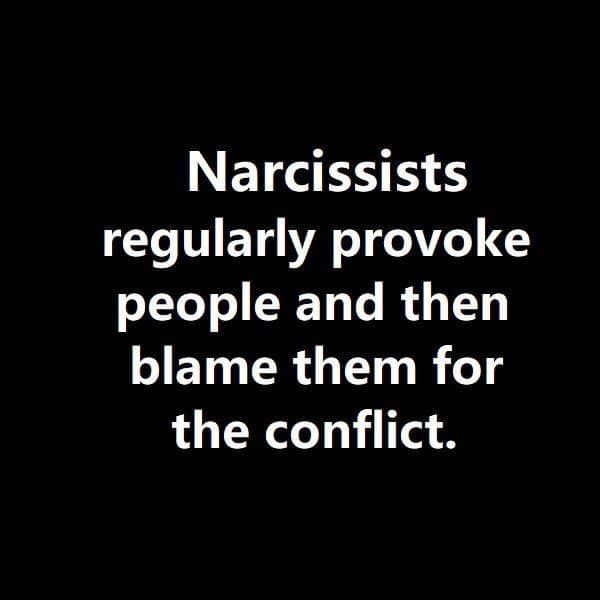 the words narcissts regularly provoke people and then blame them for the conflict