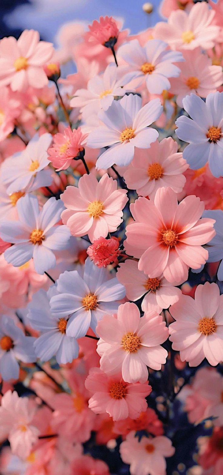 a bunch of pink and blue flowers in a vase on a table with the sky in the background