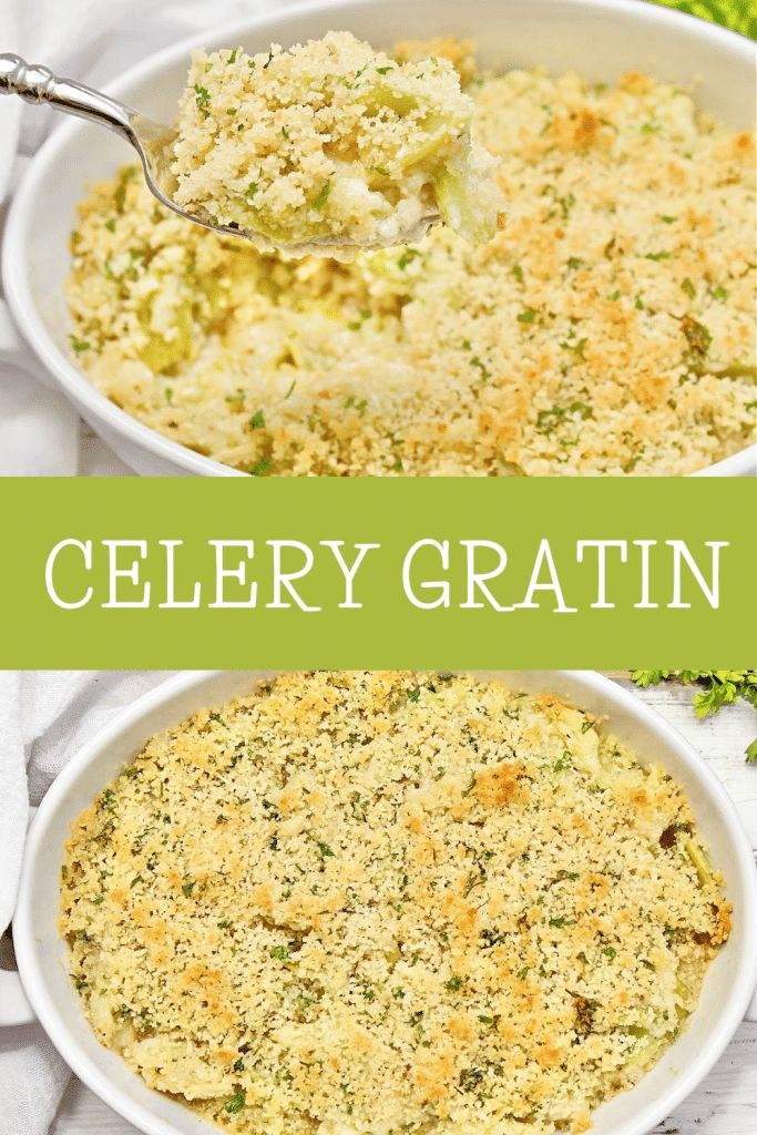 this is an image of a casserole dish with celery gratin in it