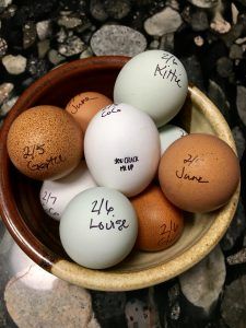 a bowl filled with brown and white eggs