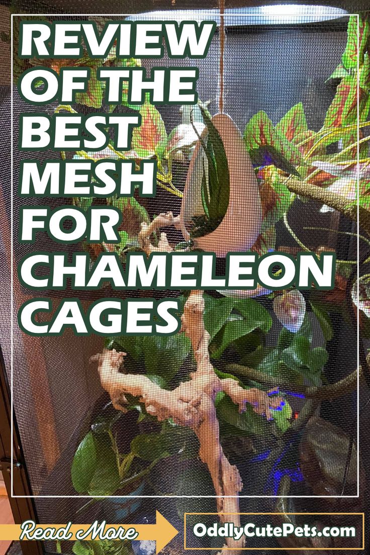 a sign that says review of the best mesh for chamelon cages on display