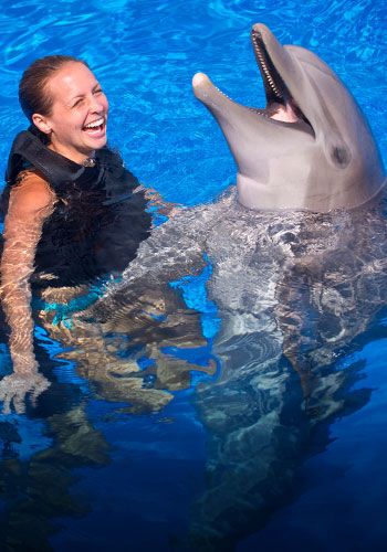 a woman is playing with a dolphin in the water