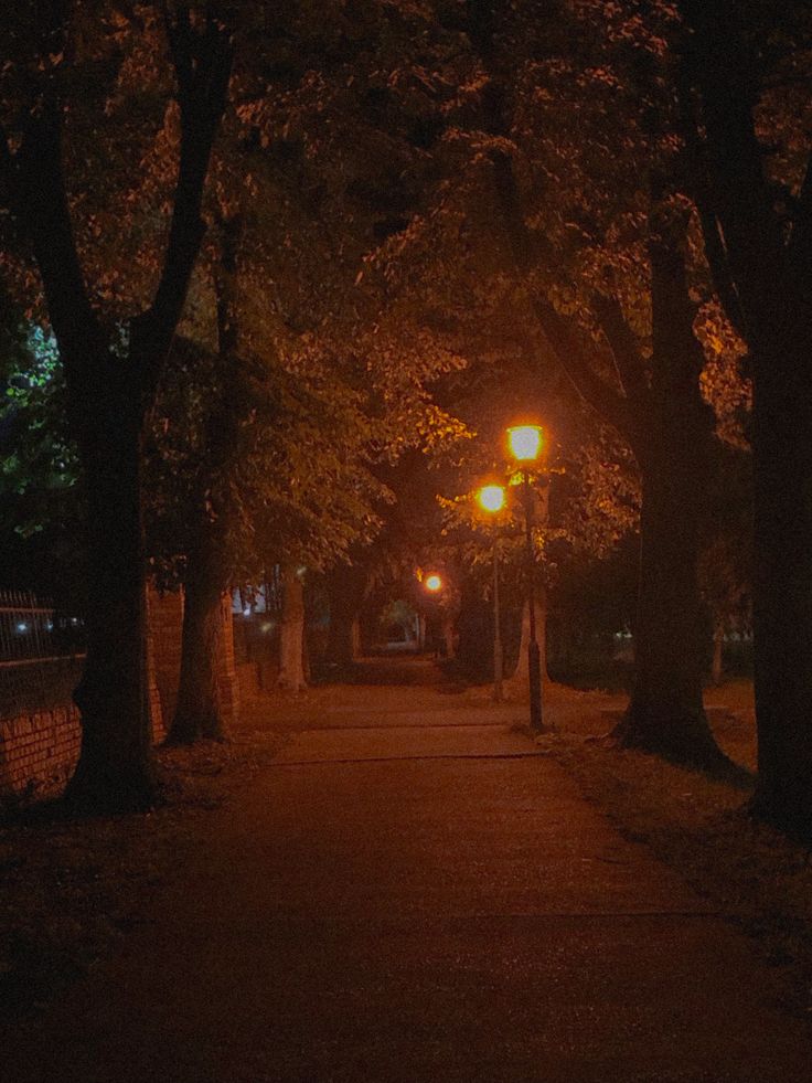 an empty street at night with trees lining the sides and one light shining on the ground