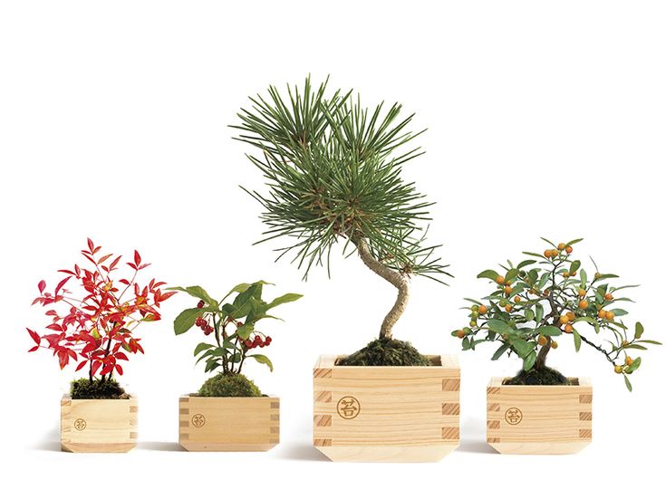 three wooden planters with different types of plants in them