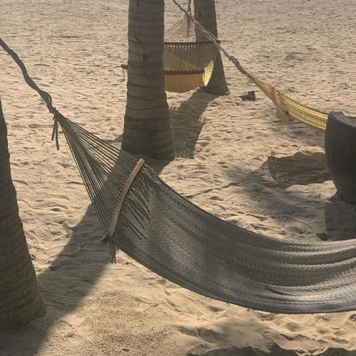 two hammocks on the beach with palm trees in the foreground and another hammock between them