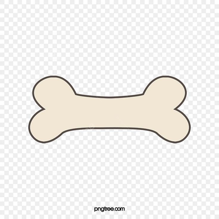 a white bone on a transparent background with no background, hd png downloads