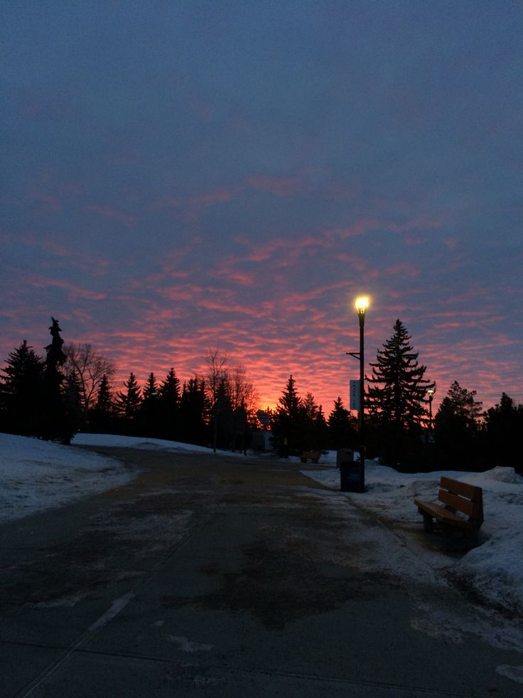 the sun is setting behind some trees and snow on the ground, with a bench in the foreground