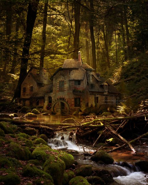 an old abandoned house in the woods