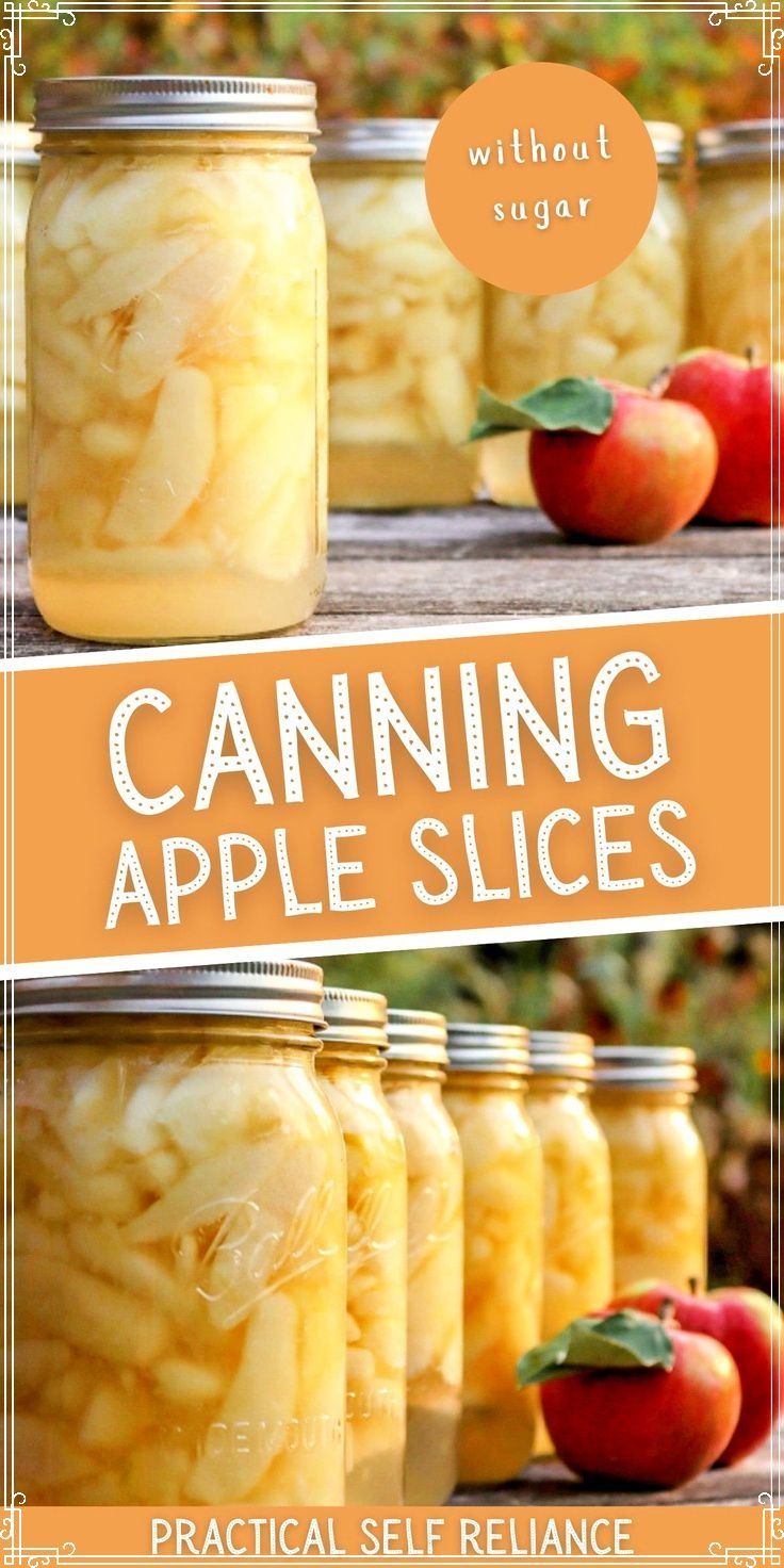 canning apple slices without sugar in jars with text overlay reading canning apples slices without sugar easy canning for beginners practical self reliance