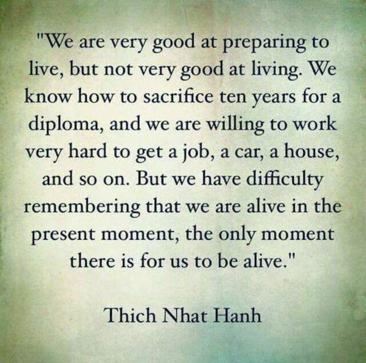 a quote from thich naat hanh about preparing to live, but not very good at living