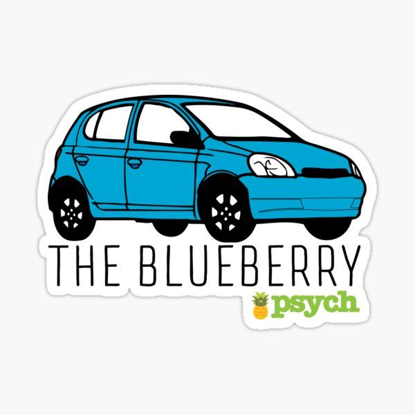 a blue car with the words the blueberry psych on it's side