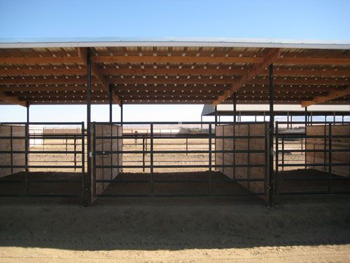 the inside of a covered area with cattle in it's pen and dirt ground