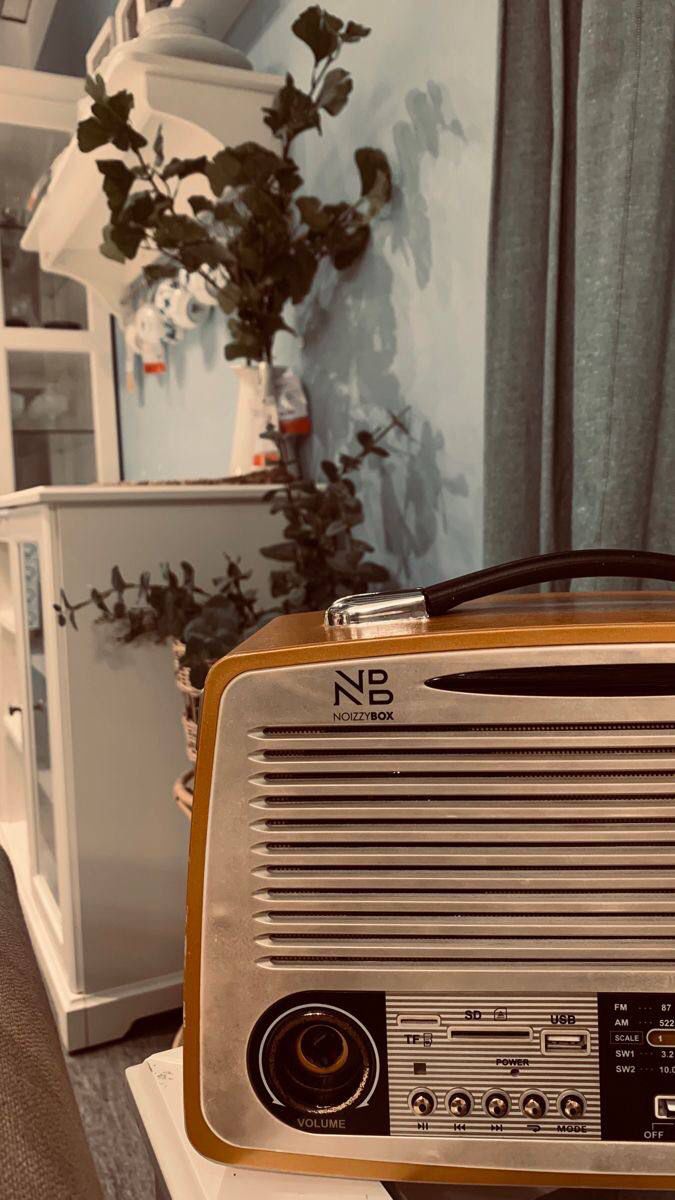 an old fashioned radio sitting on top of a table next to a potted plant