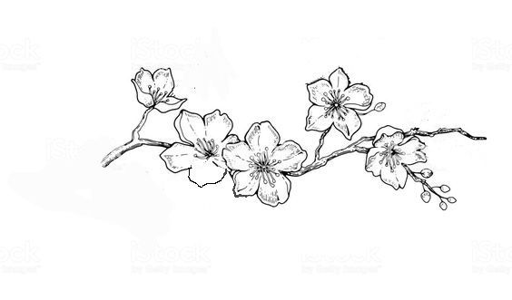 an ink drawing of flowers on a white background stock photo, flower drawings, black and white