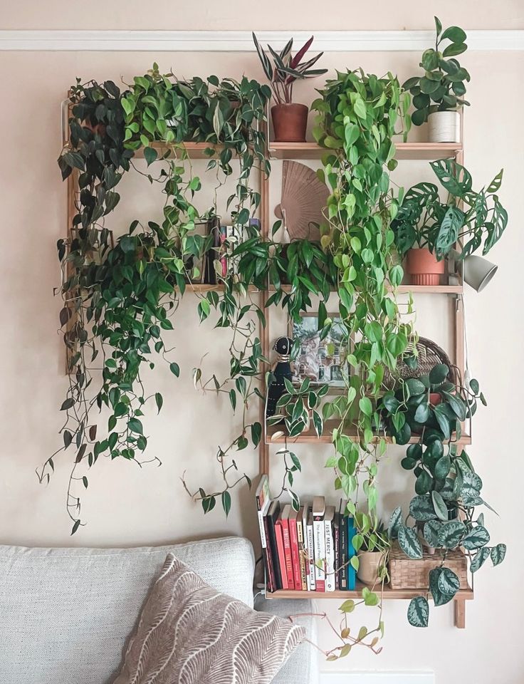 a living room filled with lots of plants on shelves next to a couch and bookshelf