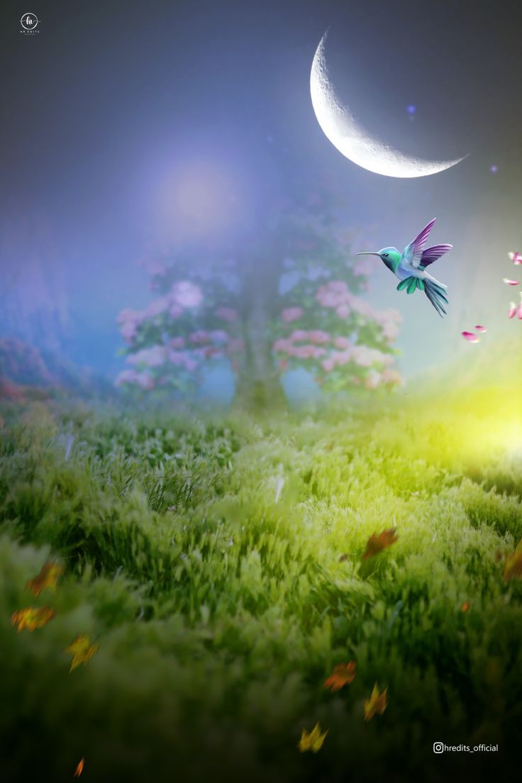 two birds are flying in the night sky near a crescent moon and tree with pink flowers