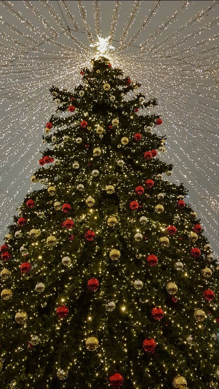 a large christmas tree with lights and decorations