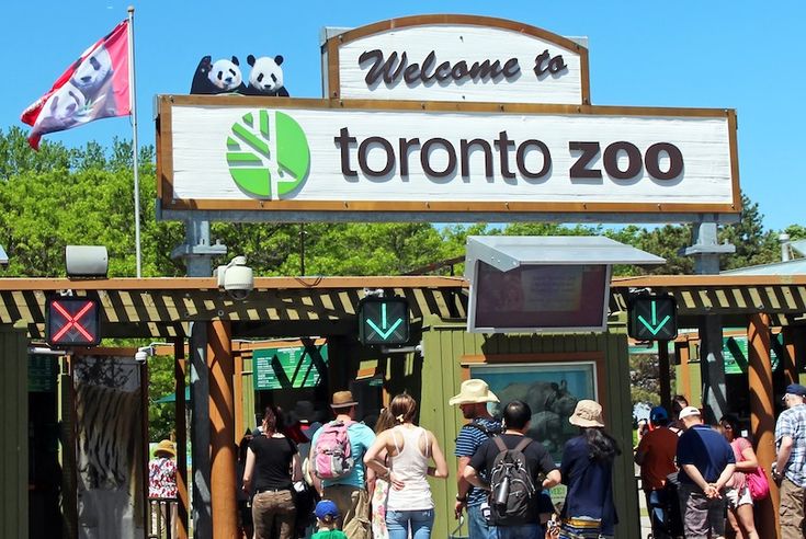 people are standing in line at the entrance to toronto zoo