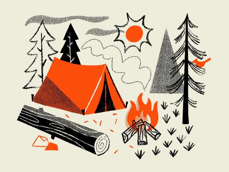 an orange tent sitting in the middle of a forest with trees and logs around it