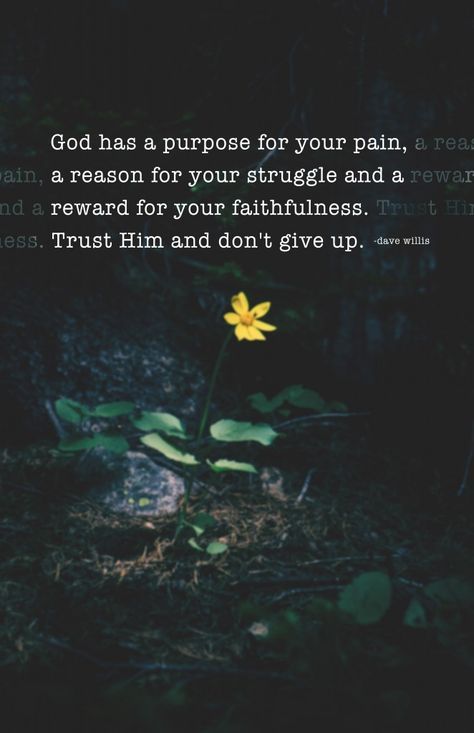 a yellow flower sitting in the middle of a forest with a bible verse on it