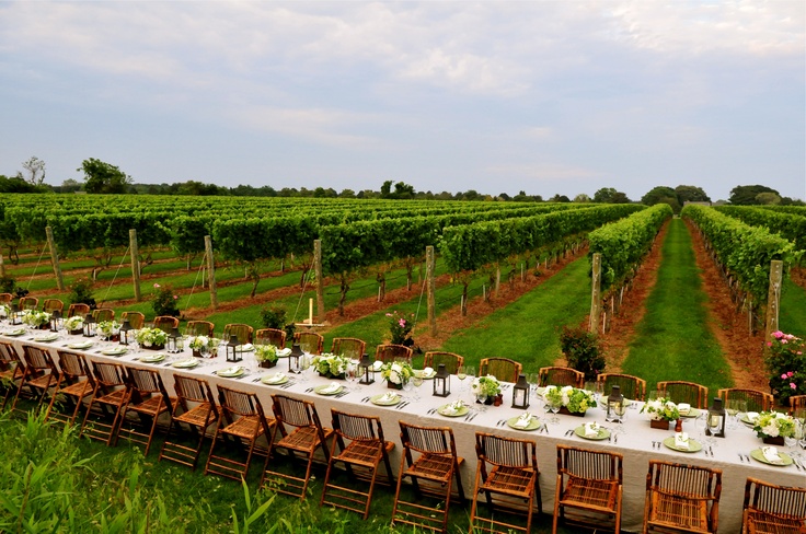 a long table set up in the middle of a vineyard