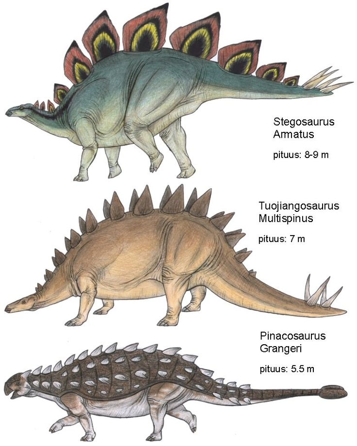 three different types of dinosaurs are shown in this diagram