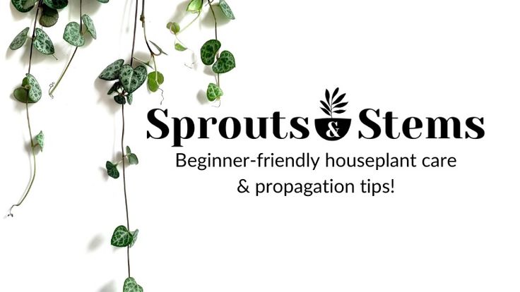 Sprouts and Stems