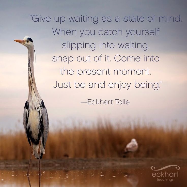 a bird standing on top of a body of water with a quote above it that reads give up waiting as a state of mind when you catch yourself shipping into waiting