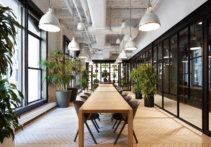 a long table in the middle of a room with lots of windows and potted plants