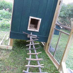 a chicken house made out of wood sticks